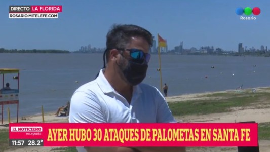 Ataque de palometas en Santa Fe: una adolescente perdió un dedo y hubo más de 30 heridos