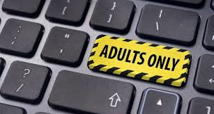 ¿Qué buscan los argentinos en el principal sitio de pornografía del mundo?