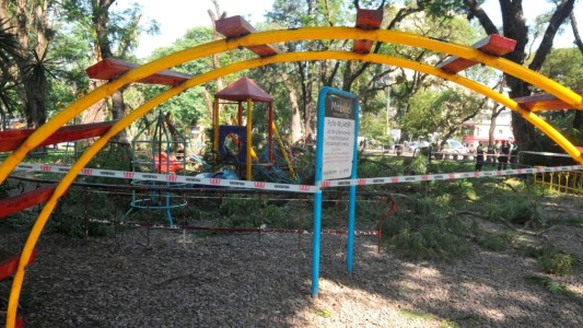 Tucumán: a una niña se le cayó un árbol encima en una plaza y está en terapia intensiva