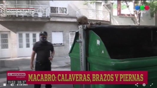 Macabro hallazgo: hallaron un cráneo y más restos oseos en un contenedor de barrio Abasto
