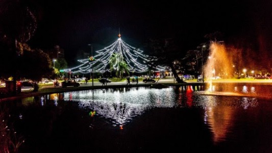 Celebrar las fiestas sin pirotecnia: su uso afecta a personas y a animales