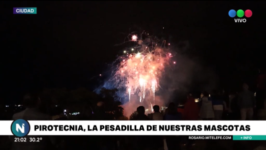 Pirotecnia, la pesadilla de las mascotas