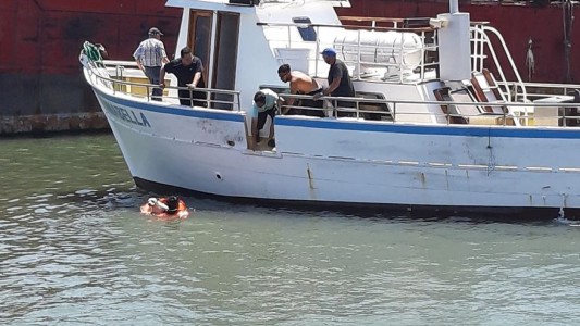 Un verdadero rescatadito: Prefectura Mar del Plata salvó a un perro de ahogarse