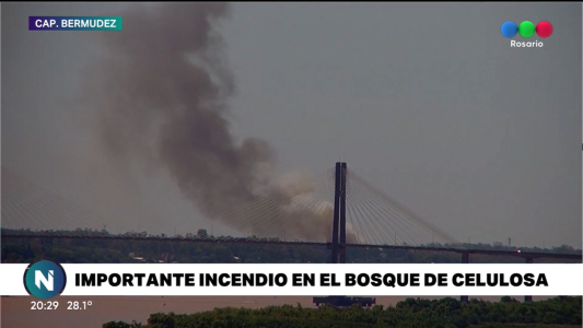 Importante incendio en el monte de celulosa de Capitán Bermúdez