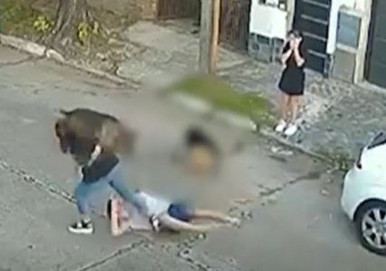 Feroz ataque: pastores alemanes mataron a un caniche