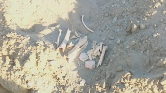 Encontraron restos óseos de unos 60 años: "Serían más de diez cuerpos"