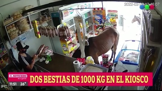 Video: atendía un local y entraron dos caballos