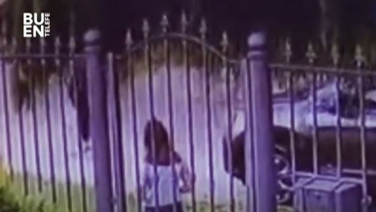 Desesperado porque le robaban a su mamá, un adolescente se autogolpeó la cabeza contra un poste