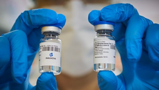 Covid 19: el Suero Equino Hiperinmune reduce un 42% la mortalidad en pacientes graves