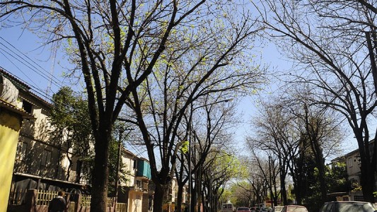 Crimen en el Fonavi: murió tras agonizar 9 días en el Heca