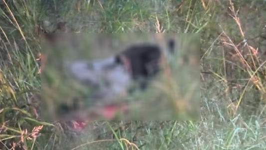 Horror en autopista: hallaron hombre asesinado de múltiples disparos