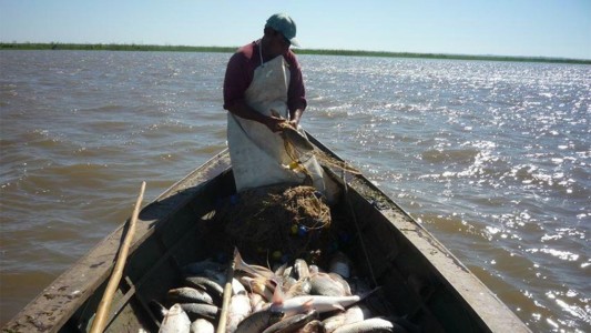 Les compran el kilo de sábalo a 40 pesos y se vende a más de 300 en el mostrador