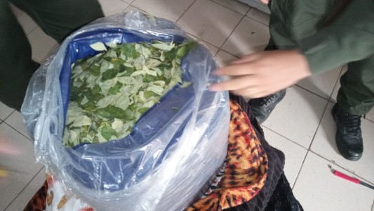 Descubrieron 244 kilos de hojas de coca en una encomienda que viajaba por Ruta 34