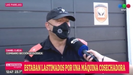 Rescataron dos pequeños gatos monteses en Las Parejas