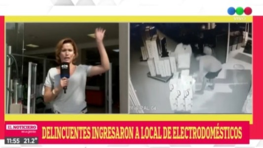 Asaltaron una casa de electrodomésticos en zona norte