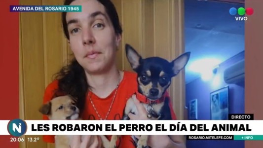 Le robaron la perrita a chica con discapacidad en el Día del Animal