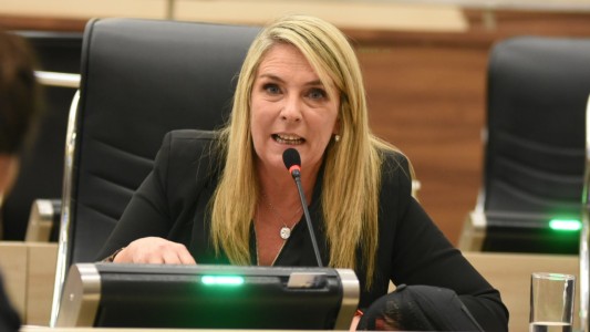 Tenso debate en el Concejo por las cajas de alimentos del Plan Cuidar