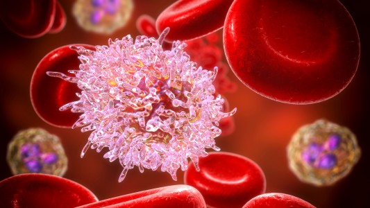 Día Mundial del Cáncer de la Sangre: Se diagnostica más de uno cada 30 minutos en el mundo