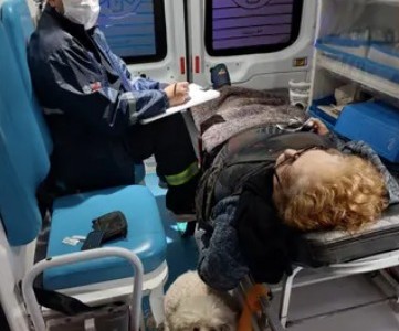 Amor perruno: Jana acompañó a su dueña en la ambulancia rumbo al hospital