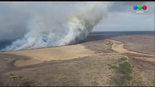 El ecocidio no se detiene: volvieron los incendios a las islas