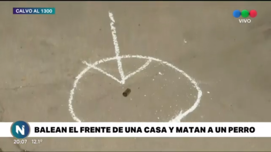 Balean el frente de una casa y matan al perro de la familia