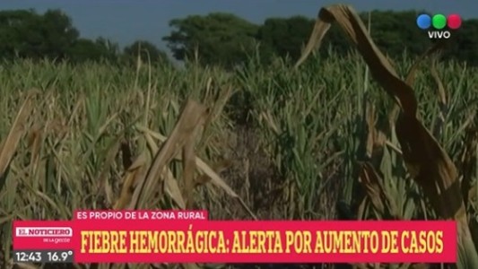 Preocupa incremento de casos de Fiebre Hemorrágica