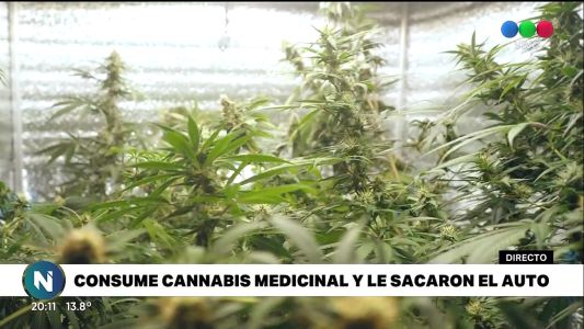 Polémica: consume cannabis medicinal y le sacaron el auto