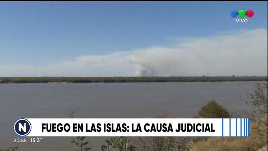 Excarcelaron a los 4 detenidos por prender fuego en las islas