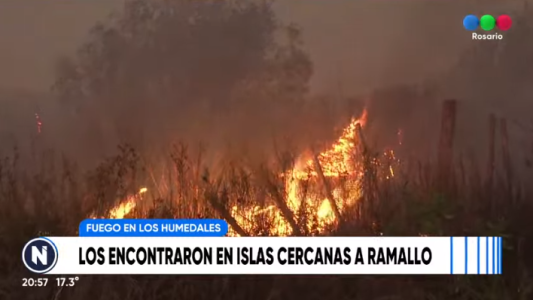 Nuevos detenidos por quemar el humedal