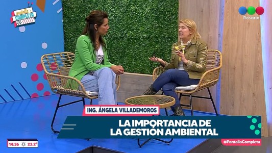 Cuidado del medioambiente: los árboles de Rosario