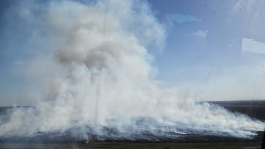 La ministra de Ambiente y el jefe de las Fuerzas Armadas sobrevolaron la zona de incendios en el Delta