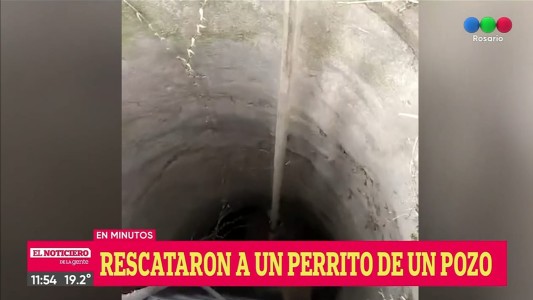 Rescataron a un perrito que cayó en un profundo pozo