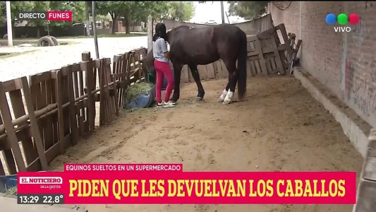 Piden a la Municipalidad que le devuelvan los caballos rescatados