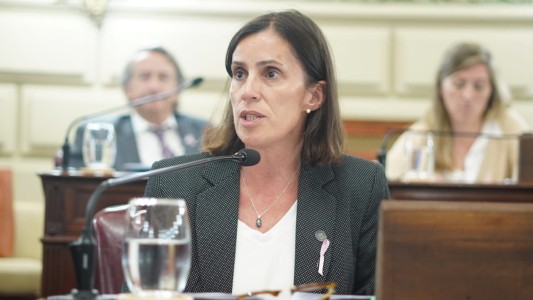 Caso Saín: unanimidad en Diputados para crear comisión de seguimiento sobre el espionaje ilegal