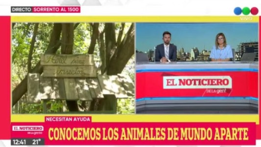 Mundo Aparte pide ayuda para seguir rescatando animales