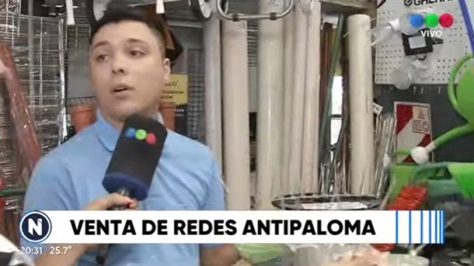 Furor por la venta de redes antipalomas