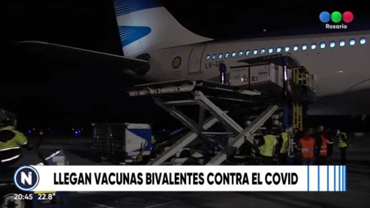 Llegaron las nuevas vacunas bivalentes: la explicación de los especialistas