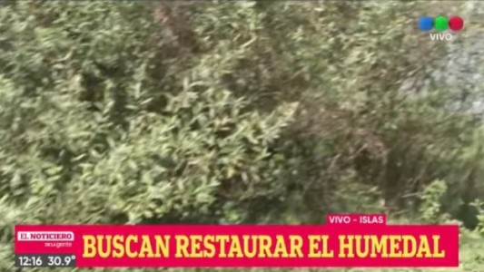 Buscan restaurar humedales del Delta del Paraná