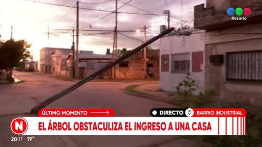 Reclamaron dos meses por la extracción de un árbol hasta que se cayó sobre una casa