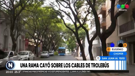 Una rama cayó sobre un trolebús y provocó daños en un auto