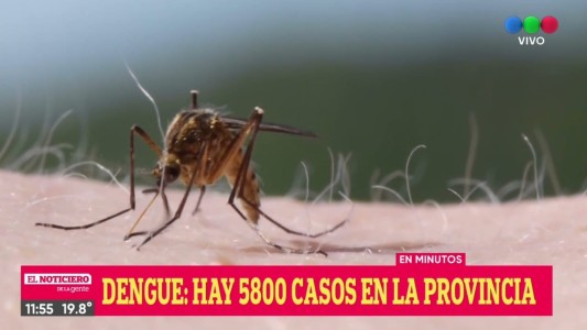 Se cuadriplicaron los casos de dengue en Rosario y se confirmó el primer fallecido en Santa Fe