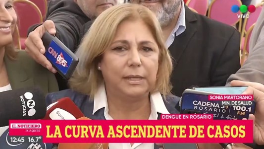 Confirmaron 10.805 casos de dengue en Santa Fe