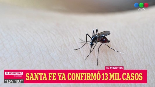 Continúan en aumento los casos de dengue: Santa Fe reportó 13.647 contagios