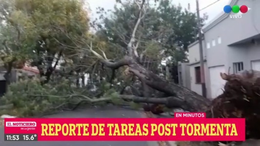 Se extrajeron más de 20 árboles tras los graves incidentes de la semana pasada