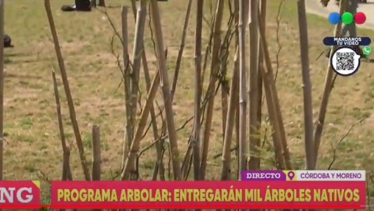 Entrega de 1000 árboles de especies nativas en la Plaza San Martín