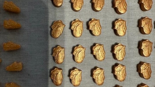 Desmantelaron una red de drogas de diseño y decomisaron $30 millones