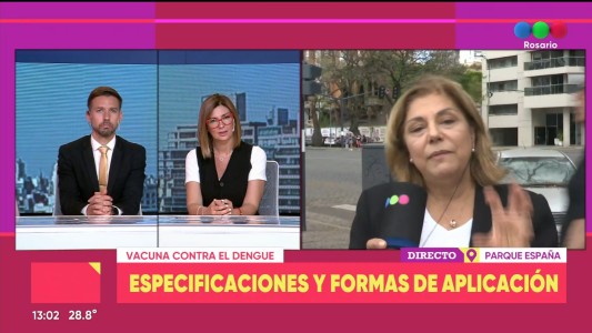 Martorano confirmó que la vacuna contra el dengue "no es para uso masivo"