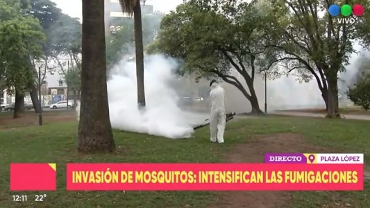 Intensifican las fumigaciones por la invasión de mosquitos