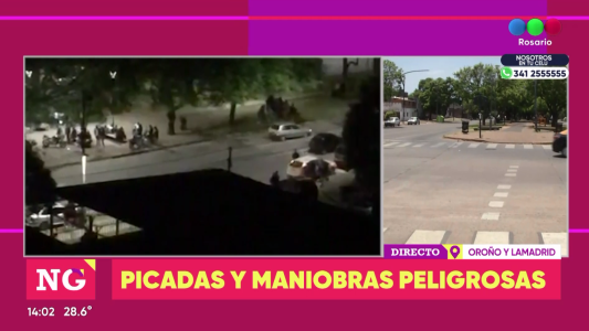 Denuncian picadas en Oroño y Lamadrid