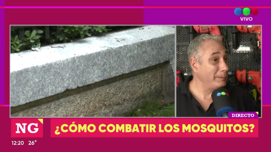 Novedoso método para combatir los mosquitos